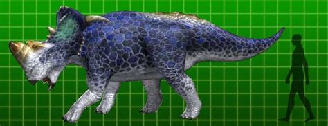 Pachyrhinosaurus Dinosaur King