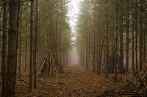 Was The Rendlesham Forest Incident A Real UFO Sighting Or A Hoax?