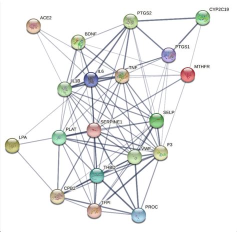 Network Constructed By The String Protein Protein Interaction