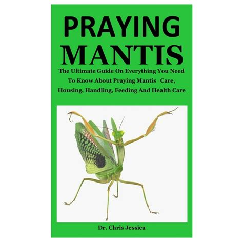 Praying Mantis The Ultimate Guide On Everything You Need To Know About Praying Mantis Care