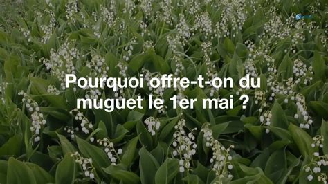 Pourquoi Offre T On Du Muguet Le Er Mai Vid O Dailymotion