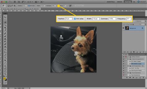 How To Use The Magnetic Lasso Tool In Adobe Photoshop