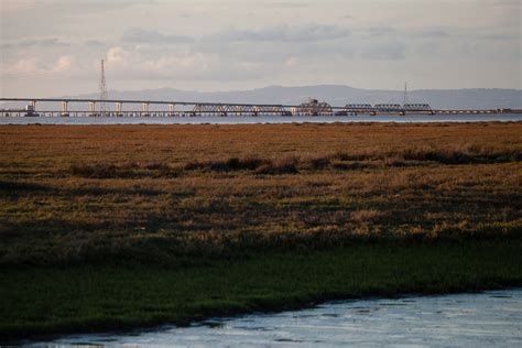 Baylands Park at Sunset - All the Pages Are My Days - the first 12 years