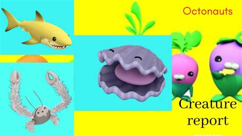 Octonauts Creatures Creature Report Creaturereport Octonauts