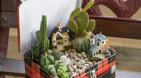 27 Beautiful Succulent Container Arrangements