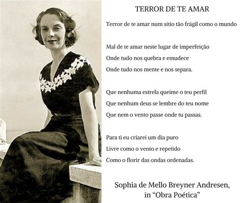 Sophia De Mello Breyner Andresen Palavras Poemas E Textos | Hot Sex Picture