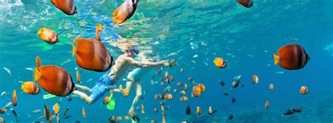 D Nde Practicar Snorkel En Punta Cana Blog Lopesan