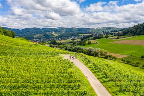 Baselland Tourismus Rundwanderung Ruine Pfeffingen Blattenpass