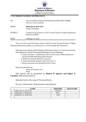 CES SELG Action Plan Department Of Education REGION VIII SCHOOLS