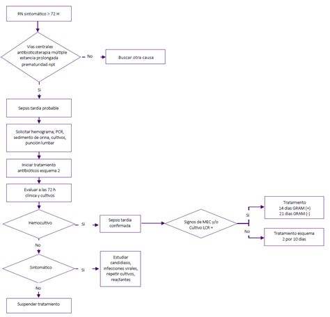 Lista 90 Foto Bpmn 2 0 Manual De Referencia Y Guía Práctica El último