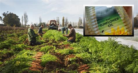 Les Agriculteurs Mettent En Garde Contre La Crise Alimentaire En Raison