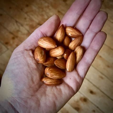 Gabrielle Samson On Instagram Les Noix M Lang Es Et Les Amandes Sont