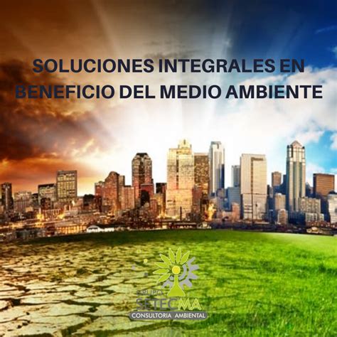 Grupo Setecma Consultor A Ambiental