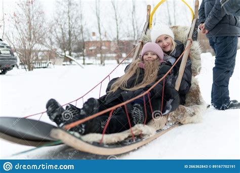 Cold Alaska Competition Team Sleigh Running Sledge Sled Dog Teamwork