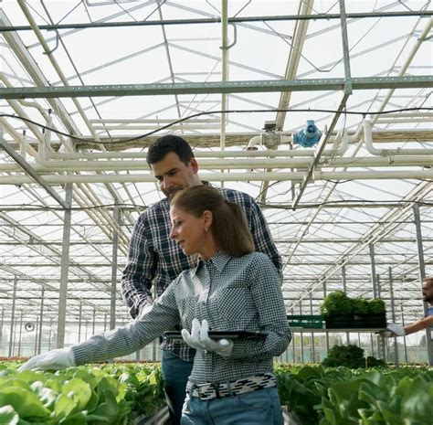 Farm Design And Automation Greenhouse Construction Projects Smiley