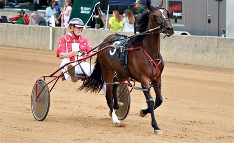 Pin on Harness racing | Harness racing, Horses, Racing