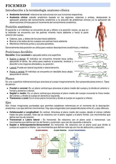 Planos Introducci N A La Anatom A Ivan Rojas Udocz