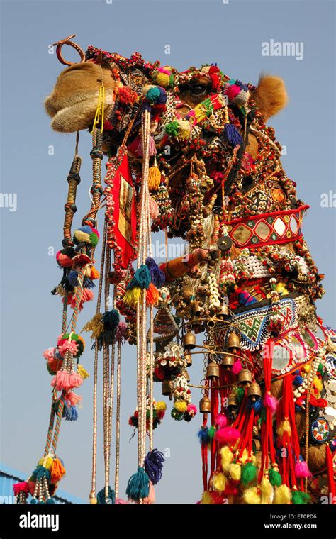 Decorated camel, Pushkar Fair, Camel Fair, Kartik Mela, Pushkar Mela ...