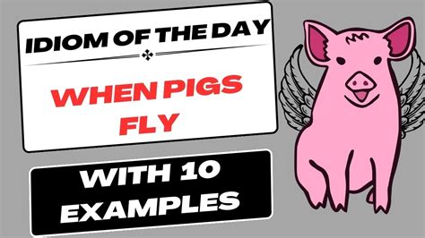 Idiom Of The Day When Pigs Fly With Examples Learn And Improve