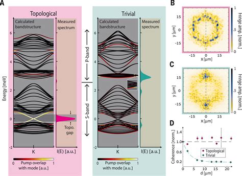 Topological Insulator Vertical Cavity Laser Array Science