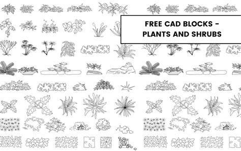 Free CAD Blocks - Plants and Shrubs