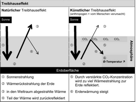 Ökologie Energie Flashcards Quizlet