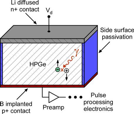 Schematic Cross Sectional Drawings Of Hpge Based Radiation Detectors