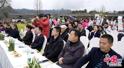 农旅融合绘就乡村振兴新图景 雅安市名山区车岭镇第三届油菜花节盛大开幕中国国情中国网