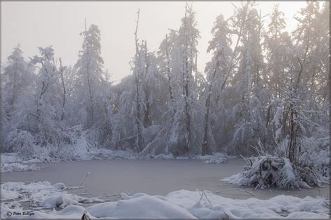 The Sun Fights Its Way Through The Morning Fog Peter Bolliger Flickr