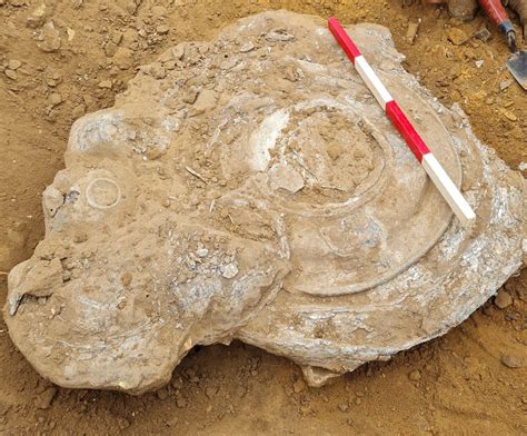 Archaeologists Uncover Roman Hoard In Suffolk