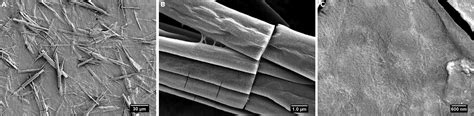 Lanthanide Luminescence From Supramolecular Hydrogels Consisting Of Bio