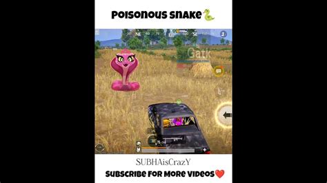 Poisonous Snake In Bgmi 🐍🐍shorts Bgmi Shortvideo Pubg