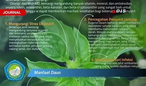 Kamu Wajib Tahu Inilah 10 Manfaat Daun Yang Bikin Penasaran