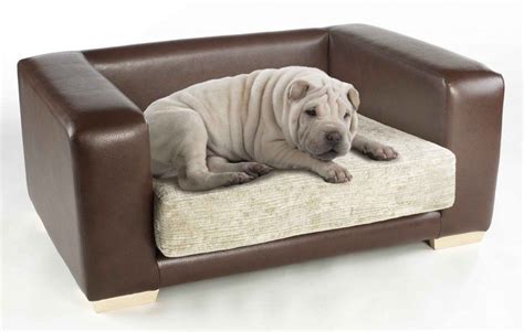 Dog Sofa Beds For Big Dogs - Sofa Design Ideas