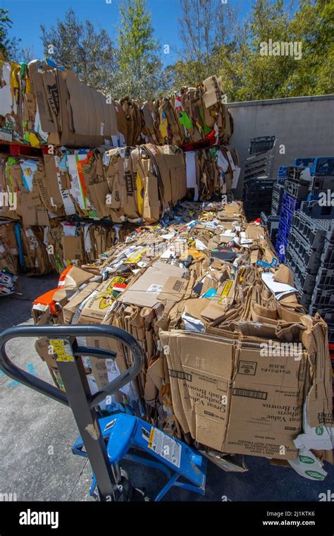 Cardboard Bundled For Recycling Stock Photo Alamy