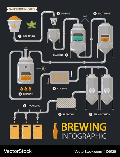 Beer Infographic Or Brewery Line Factory Process Vector Image