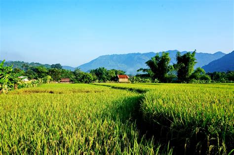 9 Spectacular Vietnam Rice Fields - Best Time to Visit and Must-Do ...