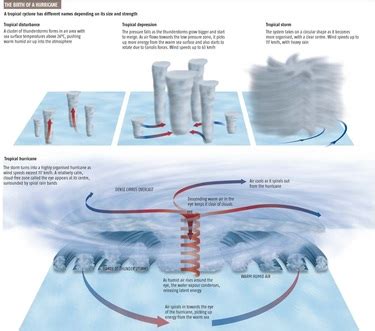 How a Hurricane forms - Calder and Ryder's weather website