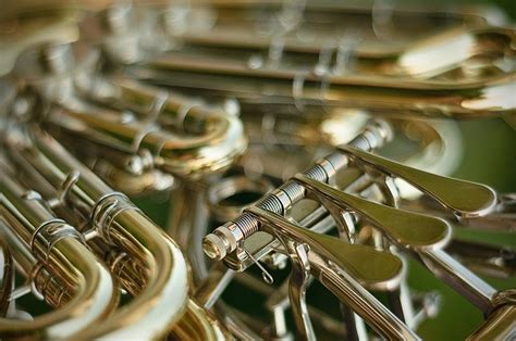 30+ Free French Horn & Horn Images - Pixabay