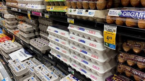 Egg Farmer Raises Prices For First Time In Seven Years Over Supply