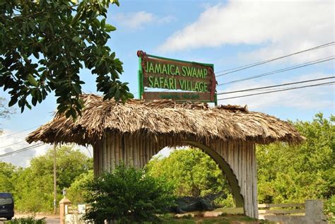 Luminous Lagoon Glistening Water Falmouth Jamaica