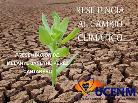 PRESENTACION RESILIENCIA AL CAMBIO CLIMATICO ADAPTACIÓN Y MITIGACIÓN