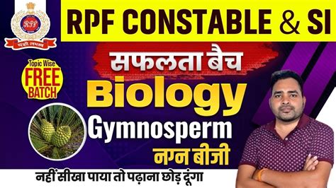 Rpf New Vacancy Rpf Science Class Biology Gymnosperm