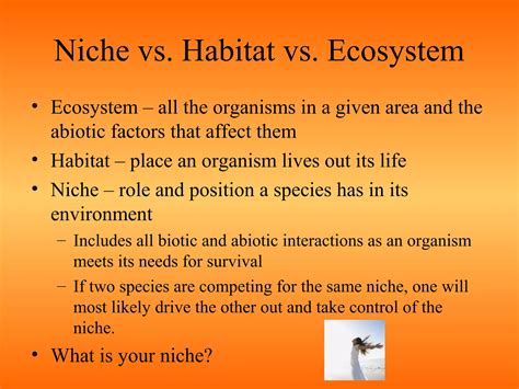 Principles Of Ecology Ppt