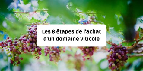 Les 8 étapes de l achat d un domaine viticole MA PROPRIETE FR