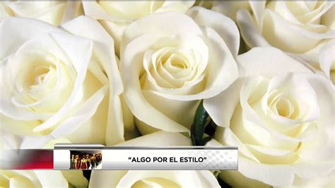 Descubre Cu L Es La Flor Perfecta Para Regalar A Tu Amigo La Flor De