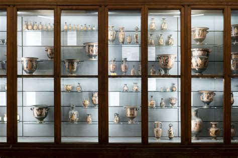 Bologna Il Museo Civico Archeologico Riapre Al Pubblico Tutte Le Sale