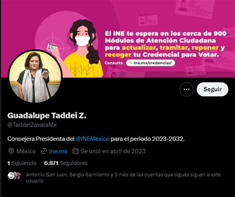 INE aclaró que Guadalupe Taddei no tendrá redes sociales tras detectar