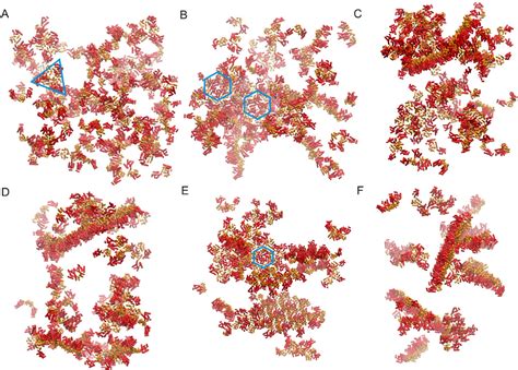 Figure 2 From Mechanism Of Polymorphism And Curvature Of HIV Capsid