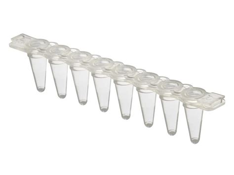 Low Profile Pcr Strip Of Tubes Clear